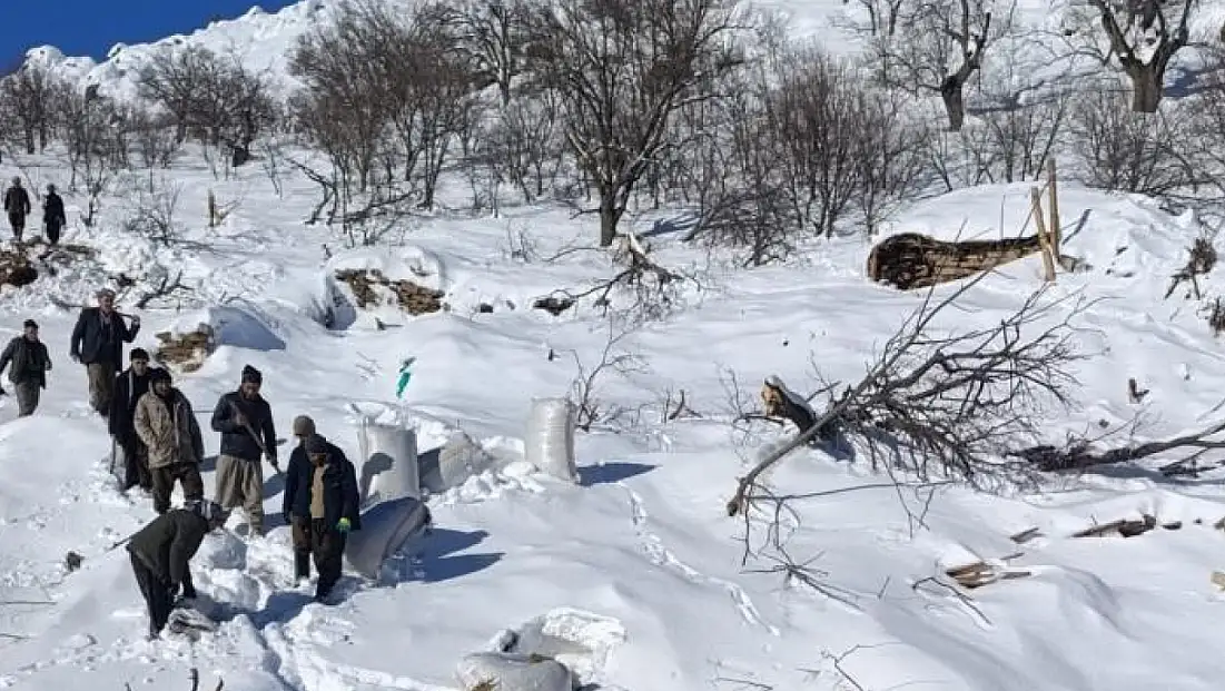 Ahırların üzerine çığ düştü