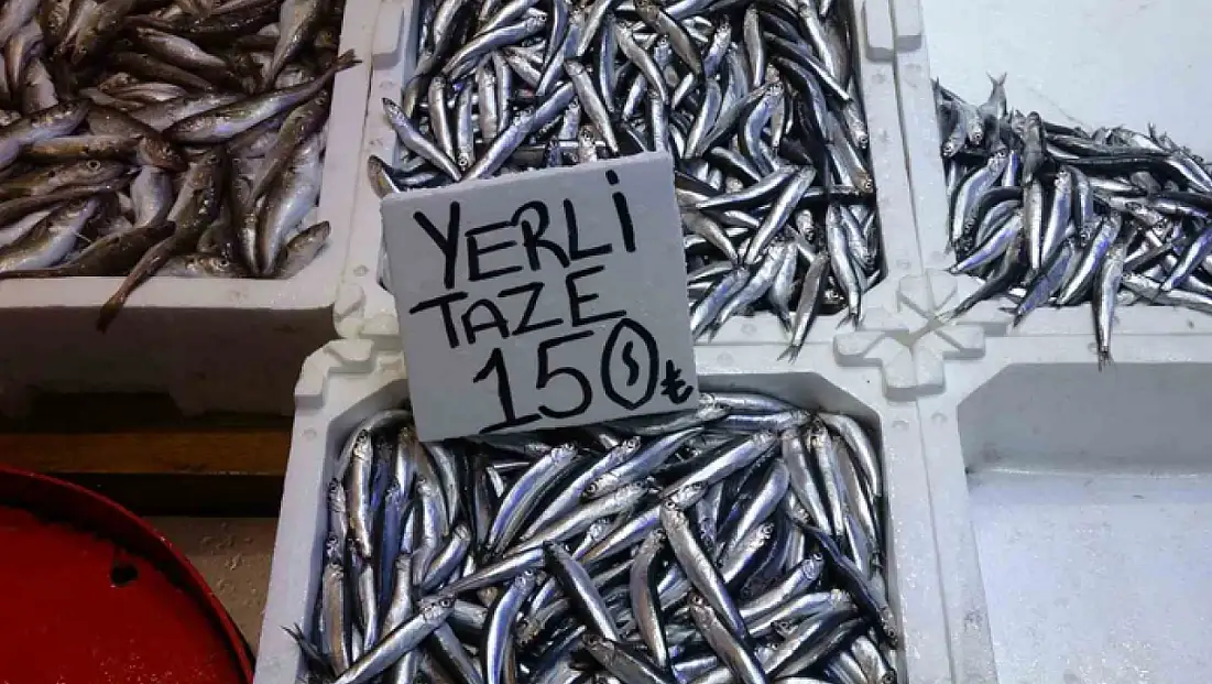 Hamsi bu defa şaşırttı: Tezgahlar yeniden şenlendi