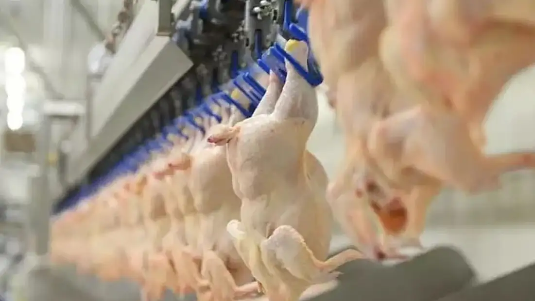 Kanatlı eti ihracatı durduruldu