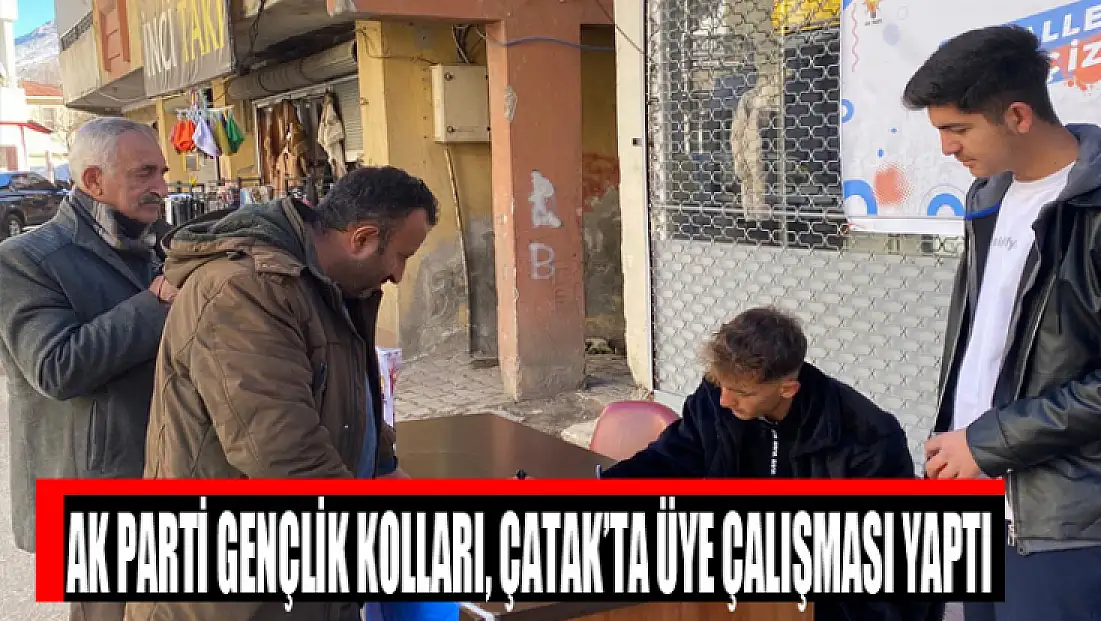 AK Parti Gençlik Kolları, Çatak’ta üye çalışması yaptı