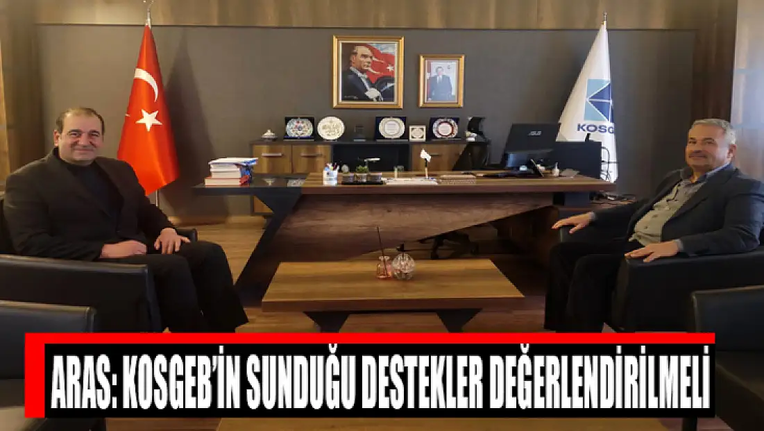 Aras: KOSGEB’in sunduğu destekler değerlendirilmeli