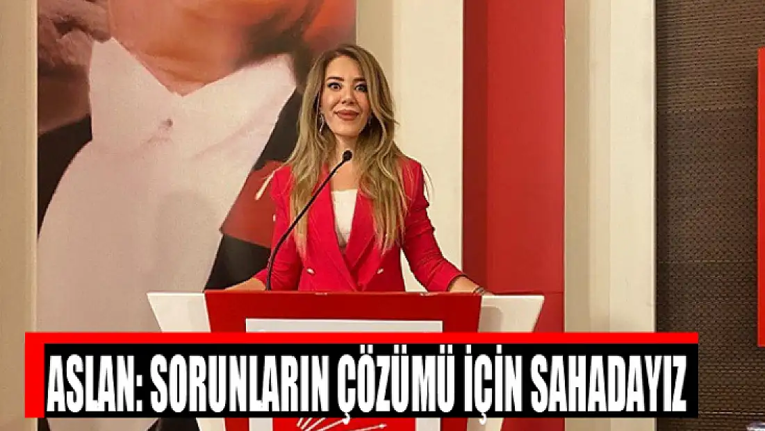 Aslan: Sorunların çözümü için sahadayız