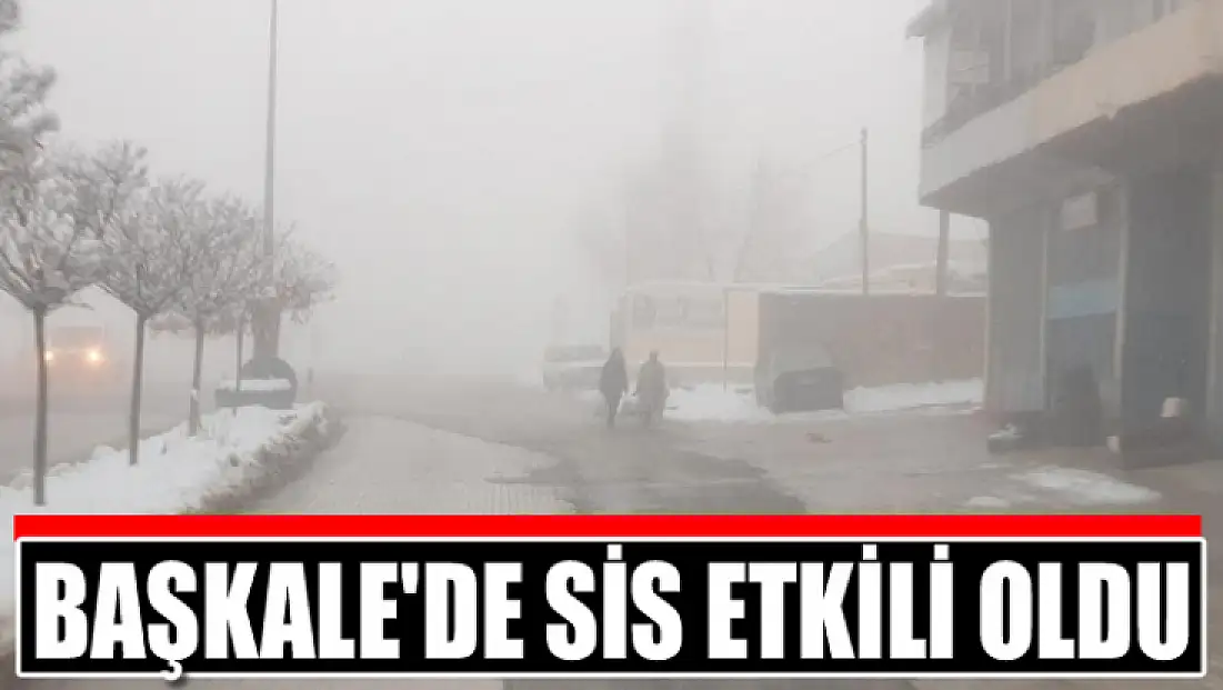 Başkale'de sis etkili oldu