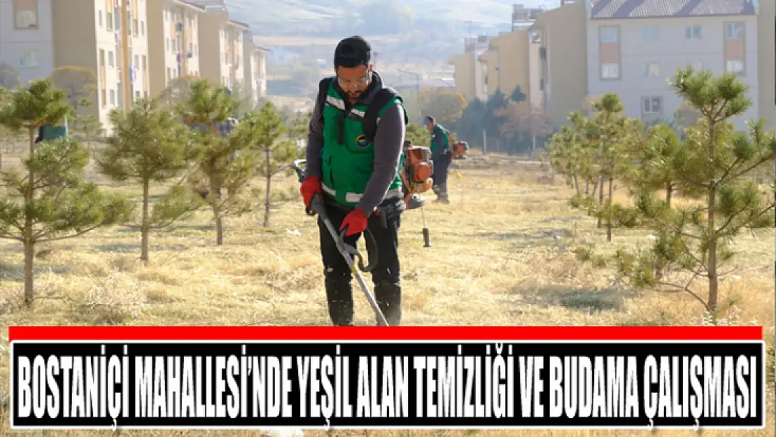 Bostaniçi Mahallesi’nde yeşil alan temizliği ve budama çalışması