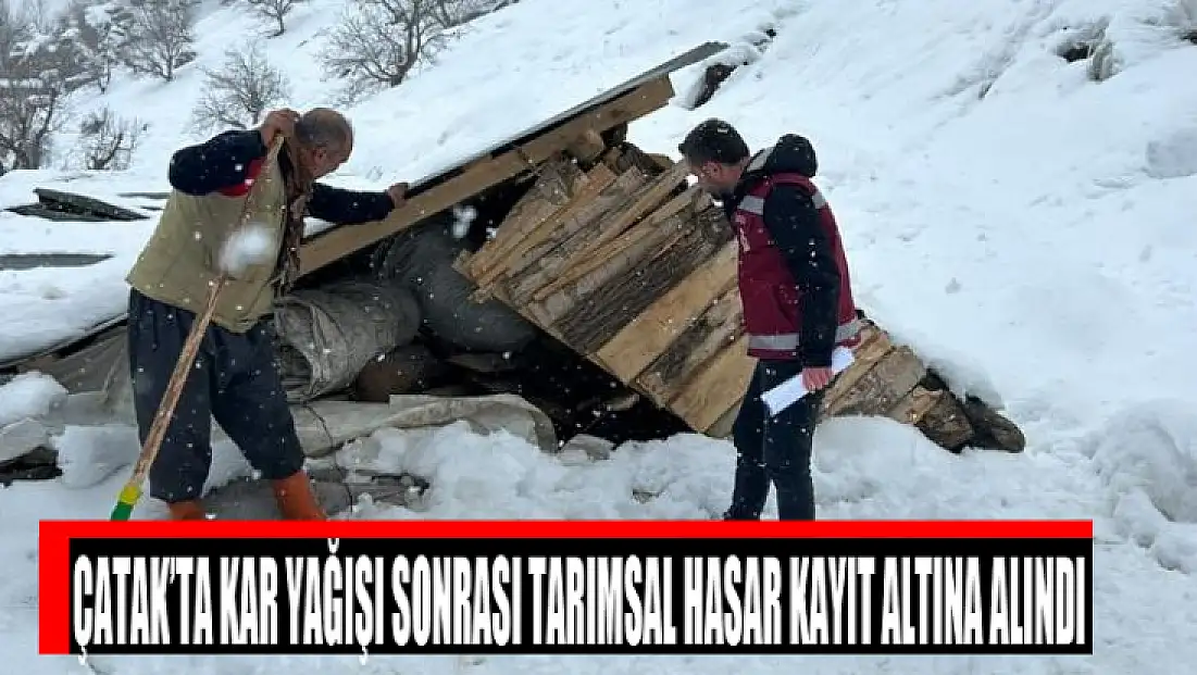 Çatak’ta kar yağışı sonrası tarımsal hasar kayıt altına alındı