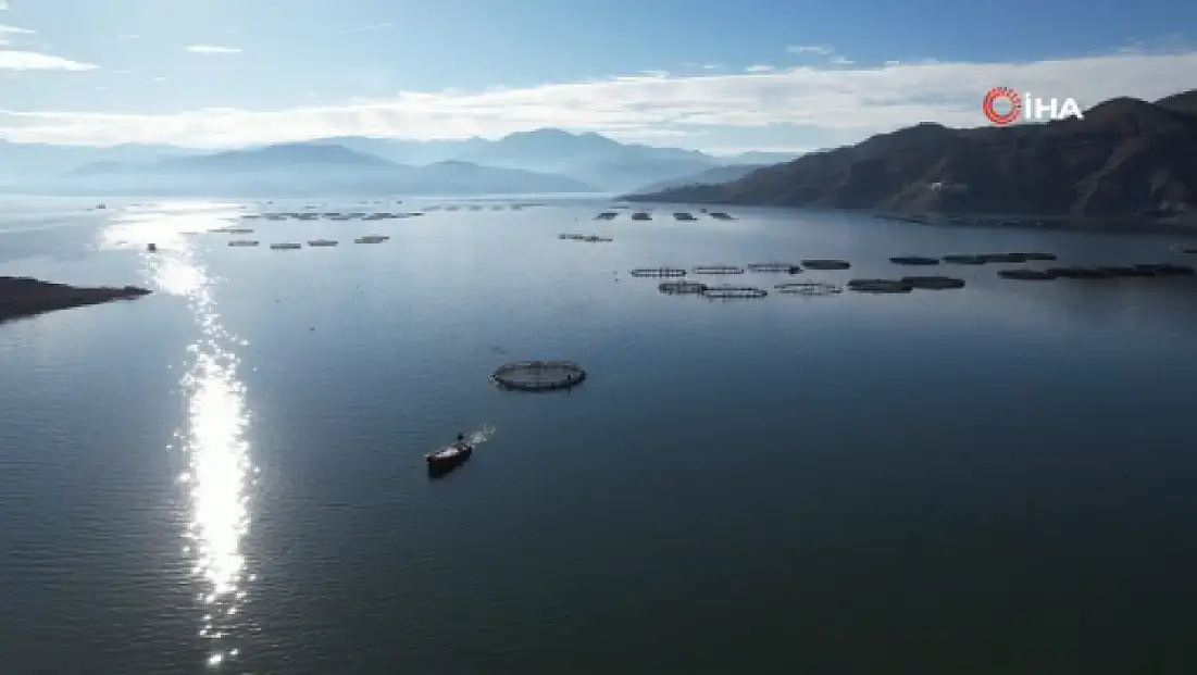 Denizi olmayan Tokat’ın somonları dünya sofralarına ulaşıyor