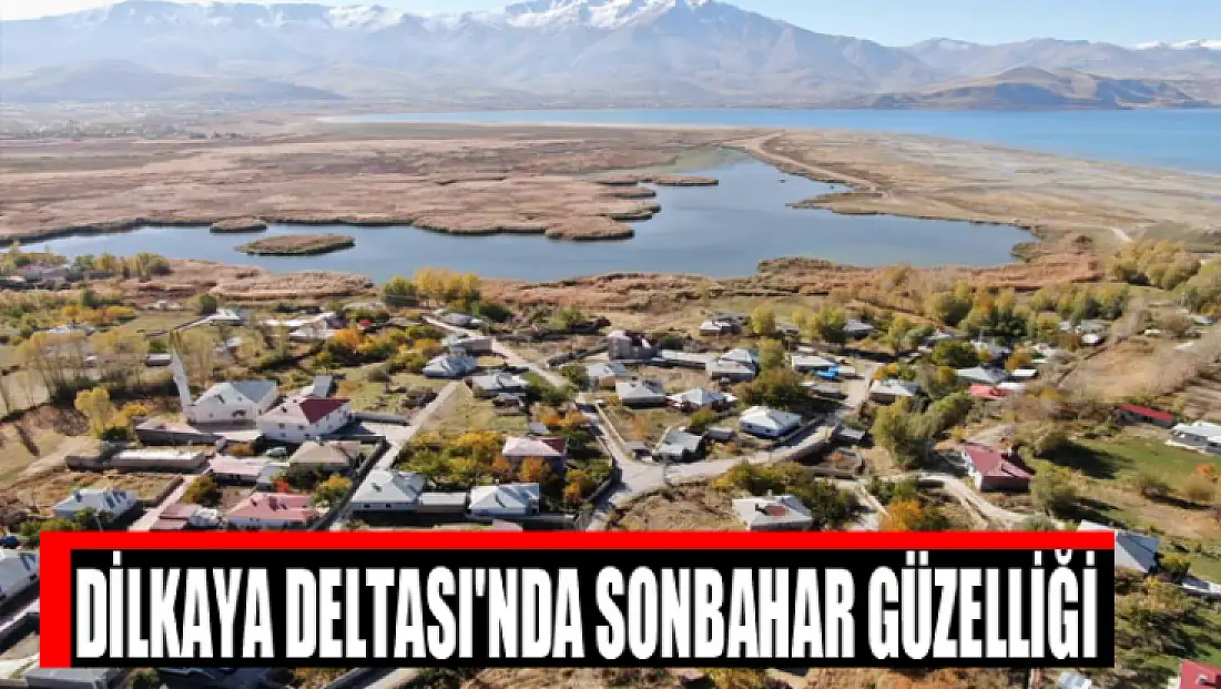 Dilkaya Deltası'nda sonbahar güzelliği