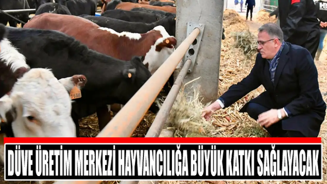 Düve Üretim Merkezi hayvancılığa büyük katkı sağlayacak