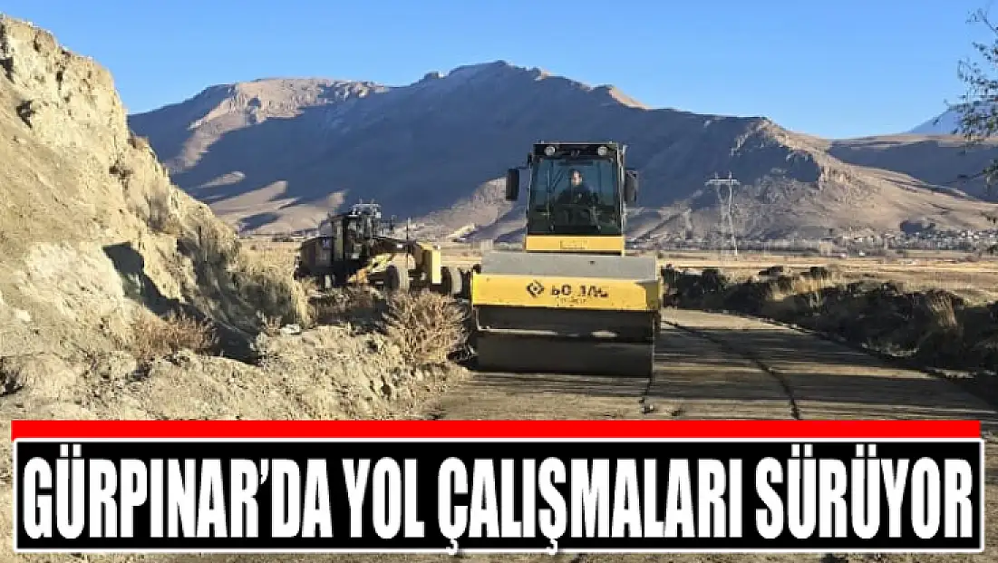 Gürpınar’da yol çalışmaları sürüyor