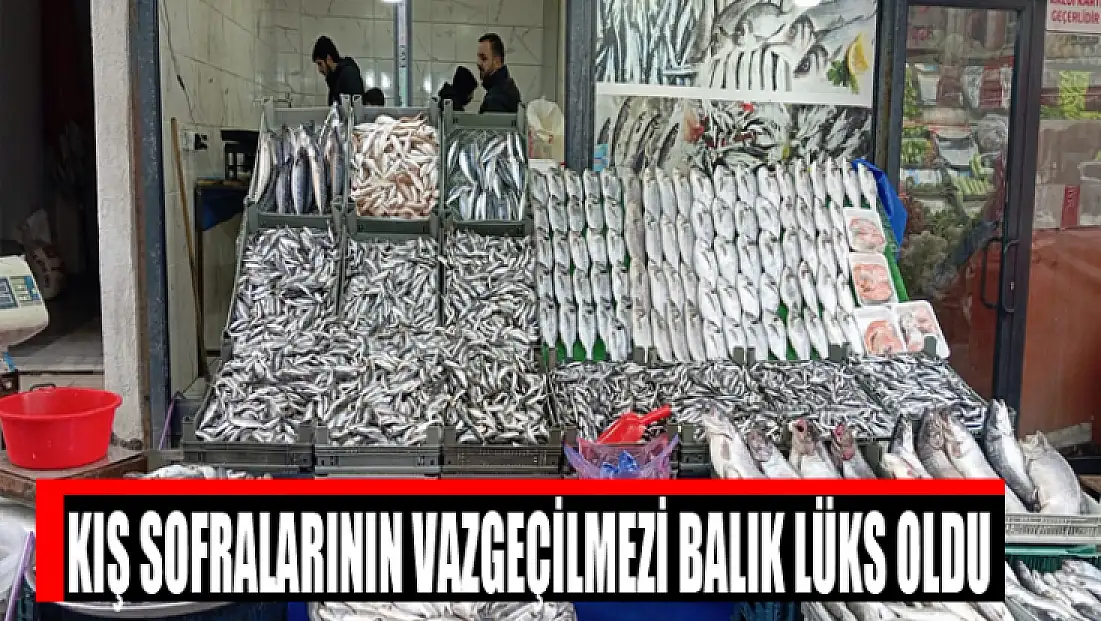 Kış sofralarının vazgeçilmezi balık lüks oldu