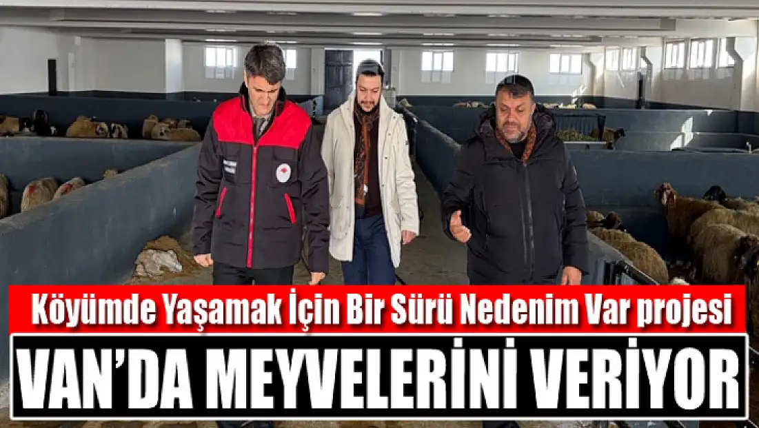 Köyümde Yaşamak İçin Bir Sürü Nedenim Var projesi Van’da meyvelerini veriyor