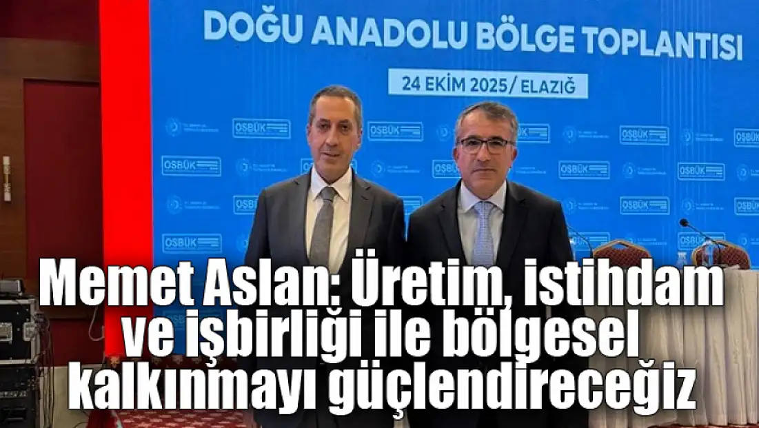 Memet Aslan: Üretim, istihdam ve işbirliği ile bölgesel kalkınmayı güçlendireceğiz