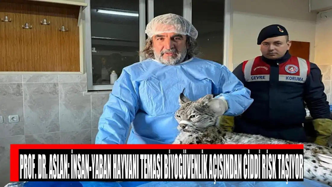 Prof. Dr. Aslan: İnsan-yaban hayvanı teması biyogüvenlik açısından ciddi risk taşıyor