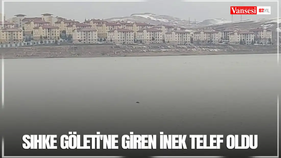 Sıhke Göleti'ne giren inek telef oldu