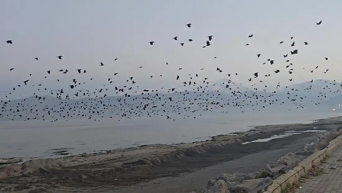 Tatvan sahilinde gökyüzünde sıra dışı manzara
