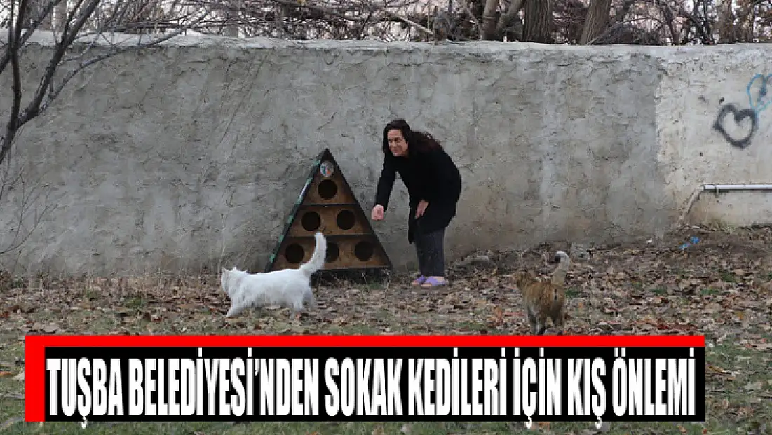 Tuşba Belediyesi’nden sokak kedileri için kış önlemi