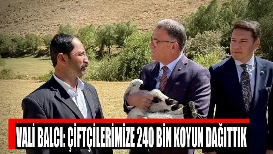 Vali Balcı: Çiftçilerimize 240 bin koyun dağıttık