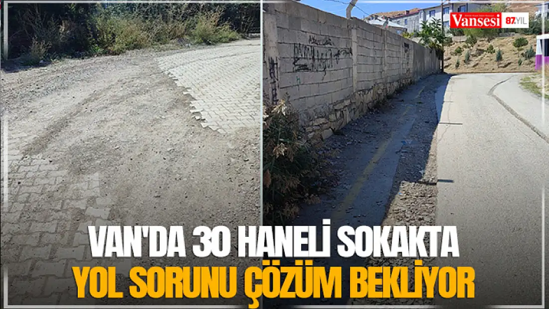 Van'da 30 haneli sokakta yol sorunu çözüm bekliyor