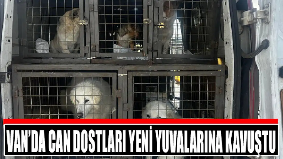 Van’da can dostları yeni yuvalarına kavuştu