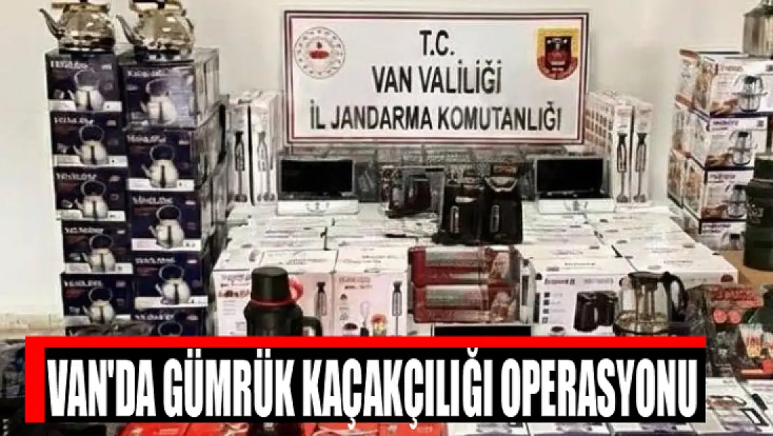 Van'da gümrük kaçakçılığı operasyonu