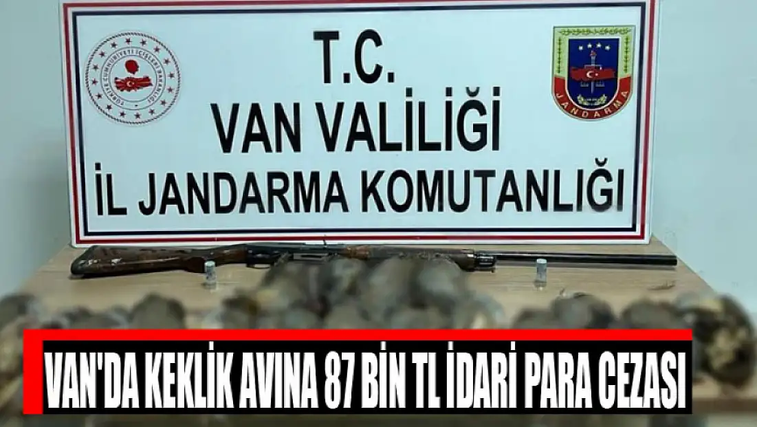Van'da keklik avına 87 bin TL idari para cezası