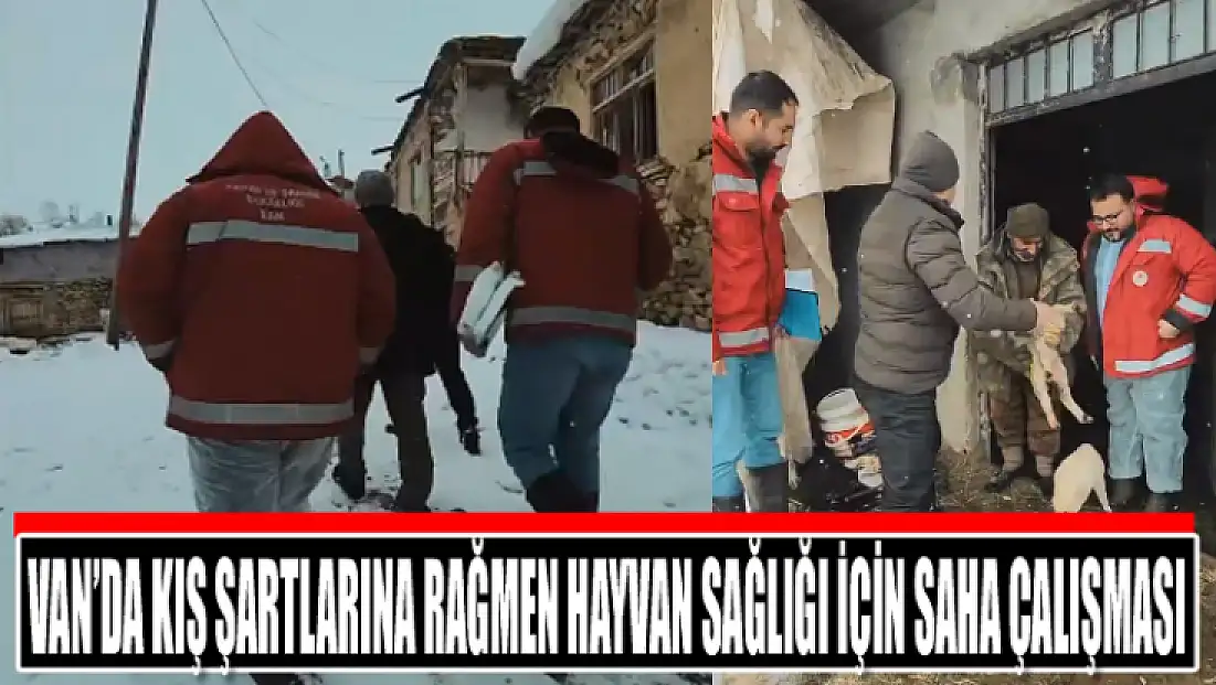 Van’da kış şartlarına rağmen hayvan sağlığı için saha çalışması