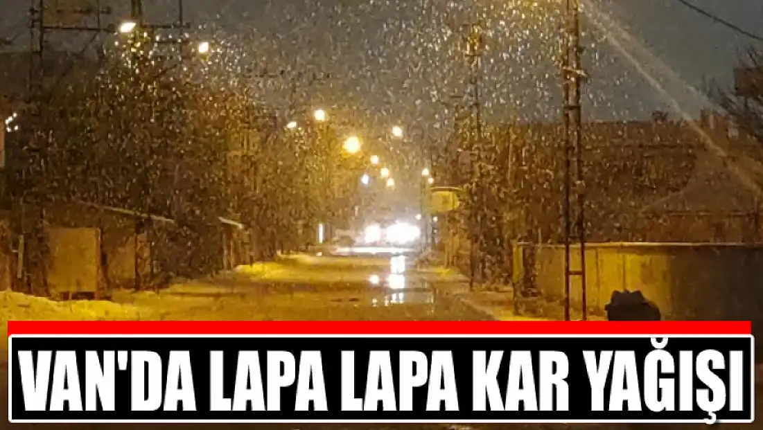 Van'da lapa lapa kar yağışı