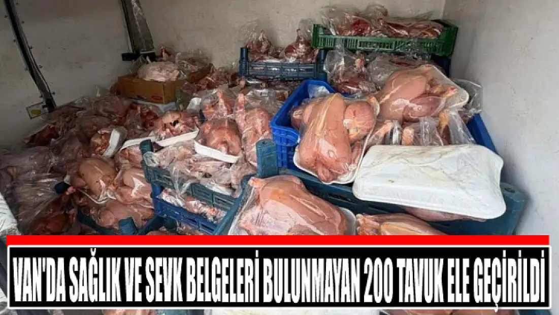 Van'da sağlık ve sevk belgeleri bulunmayan 200 tavuk ele geçirildi