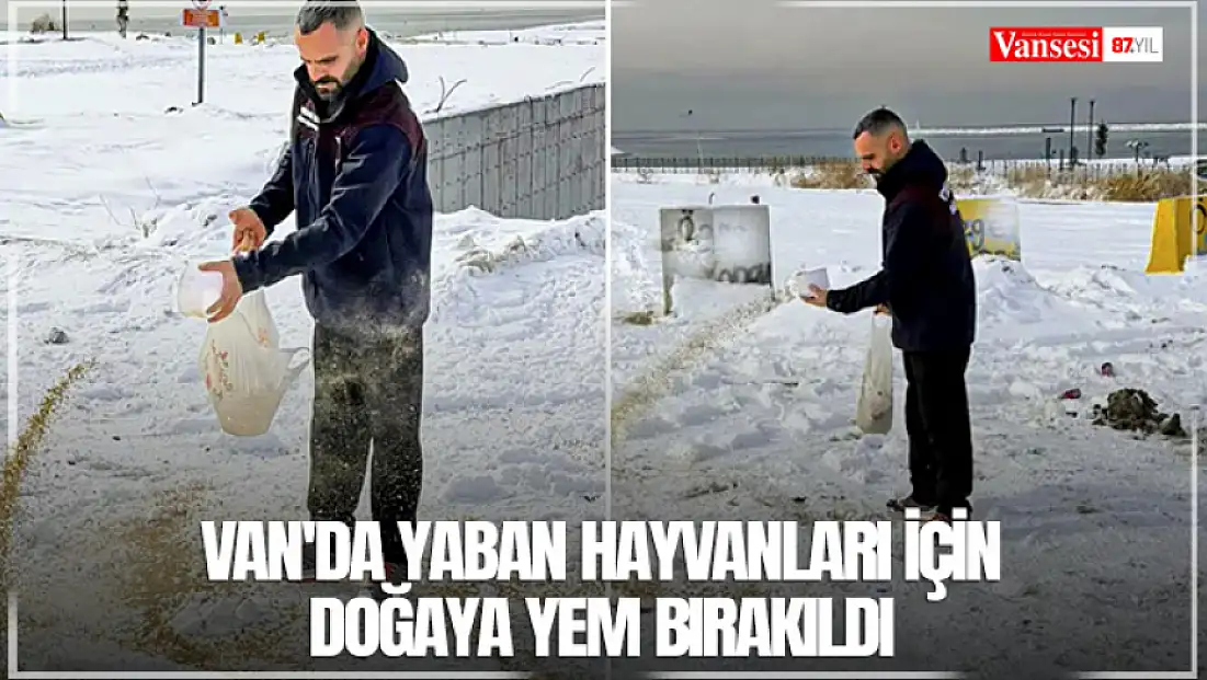 Van’da yaban hayvanları için doğaya yem bırakıldı
