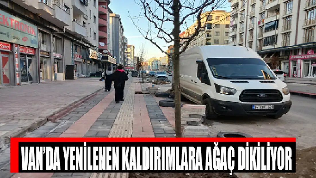 Van’da yenilenen kaldırımlara ağaç dikiliyor