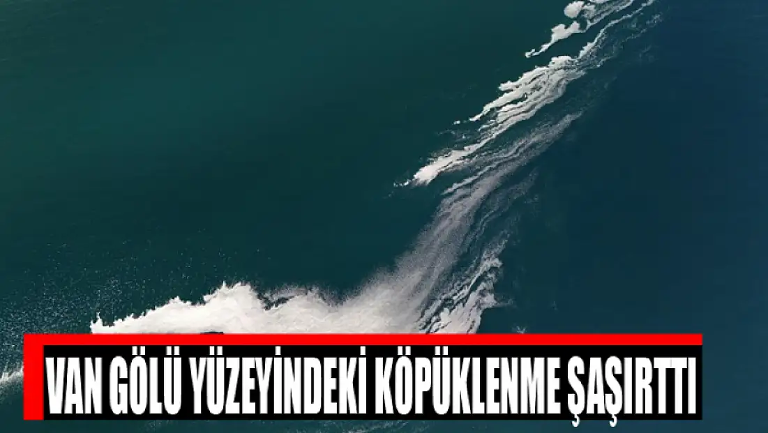 Van Gölü yüzeyindeki köpüklenme şaşırttı