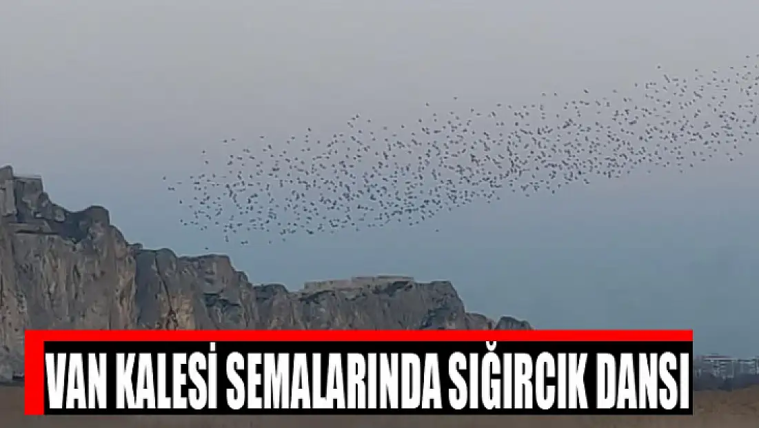 Van Kalesi semalarında sığırcık dansı