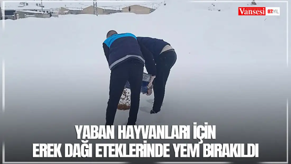Yaban hayvanları için Erek Dağı eteklerinde yem bırakıldı