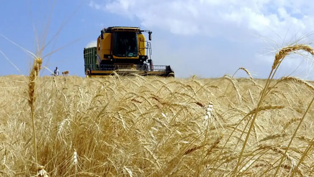 Tarım-ÜFE yıllık yüzde 43,58 arttı