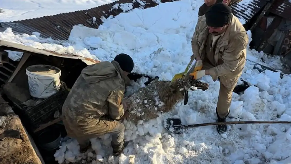 Yüksekova’da kar yükü çatıyı yıktı