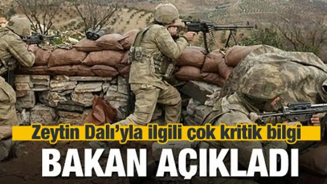 Bakan'dan Zeytin Dalı'yla ilgili çok kritik bilgi