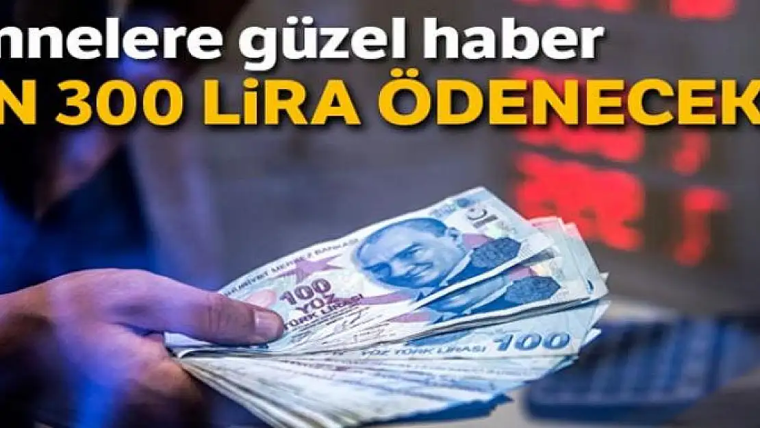 Anneye bin 300 TL! Her anneye doğum yardımı veriliyor...