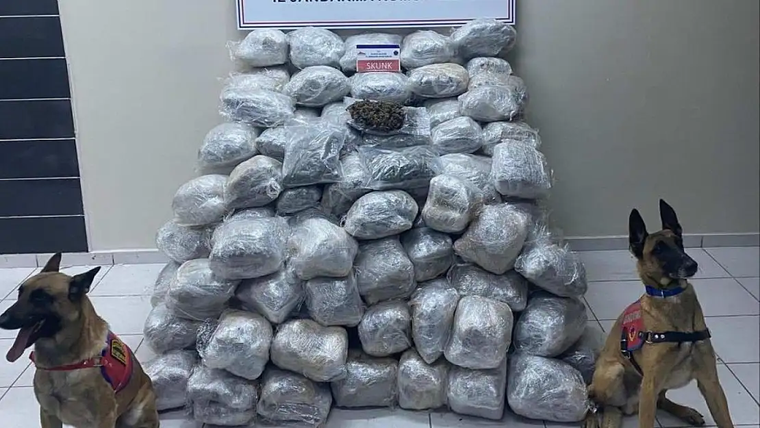 138 kilo skunk ele geçirildi