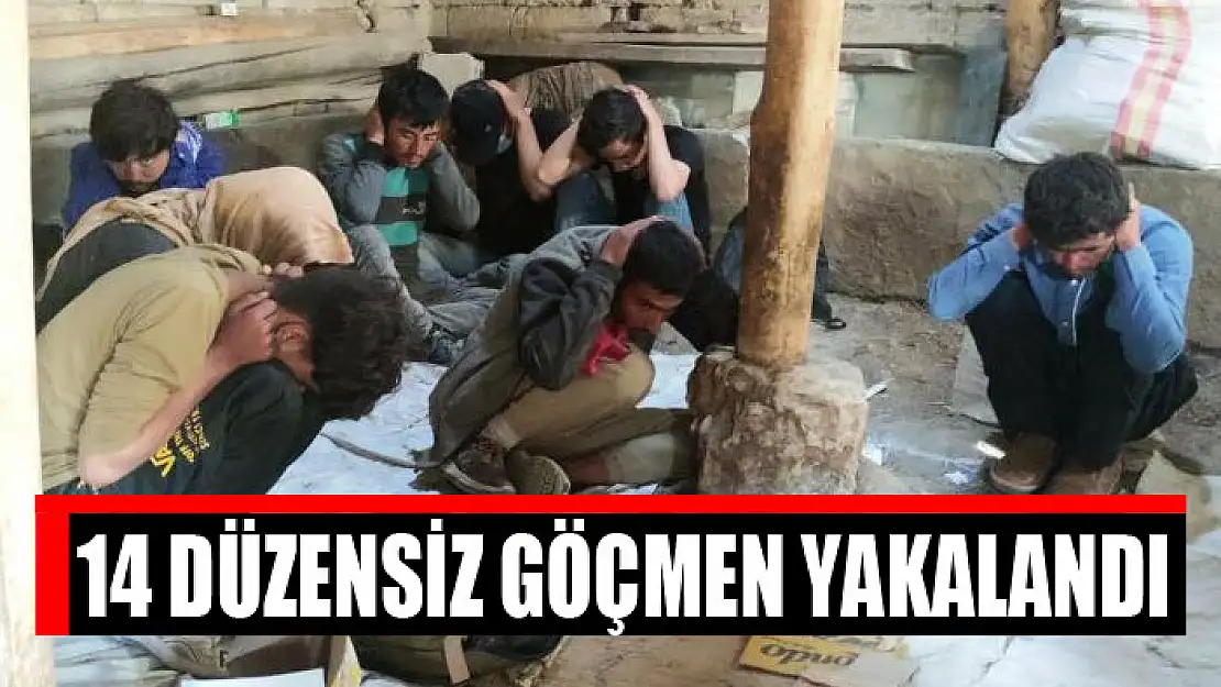 14 düzensiz göçmen yakalandı