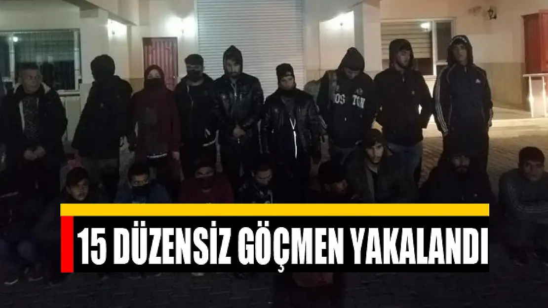 15 düzensiz göçmen yakalandı