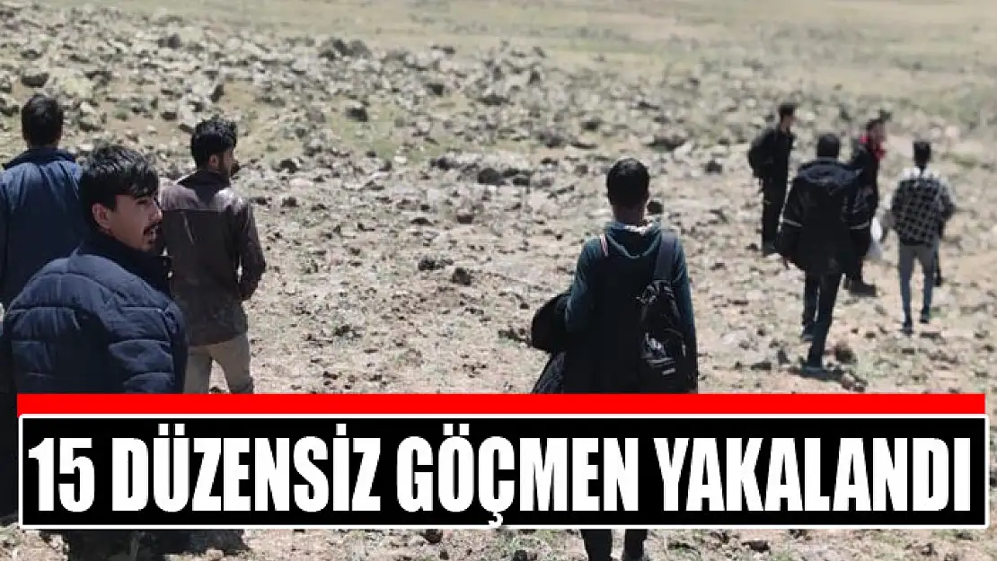 15 düzensiz göçmen yakalandı