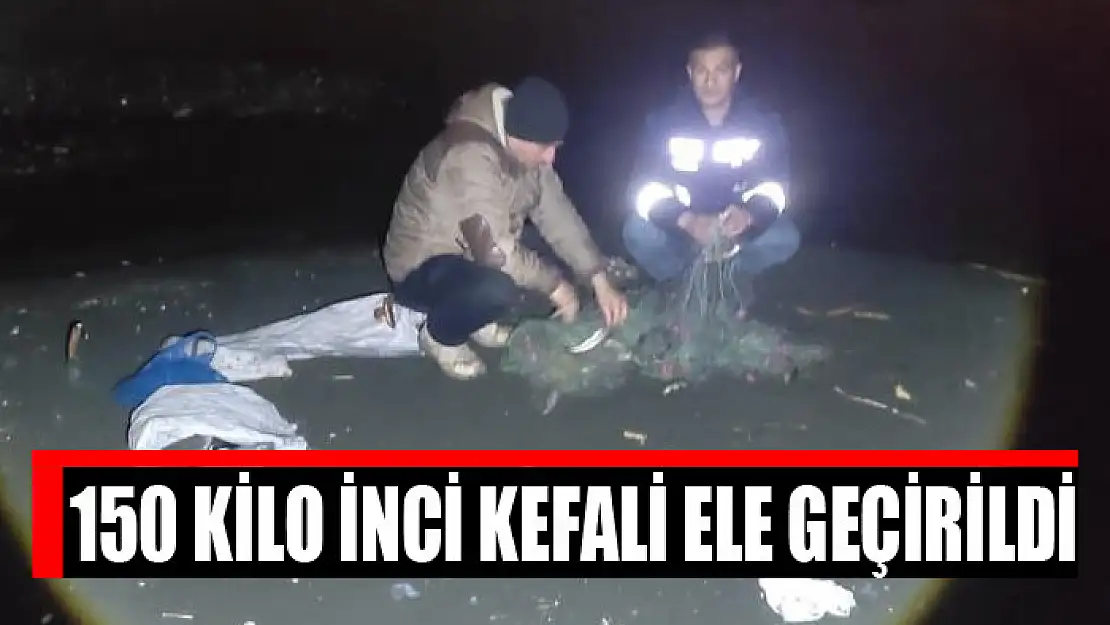 150 kilo inci kefali ele geçirildi