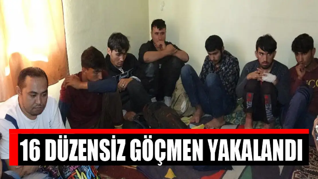 16 düzensiz göçmen yakalandı