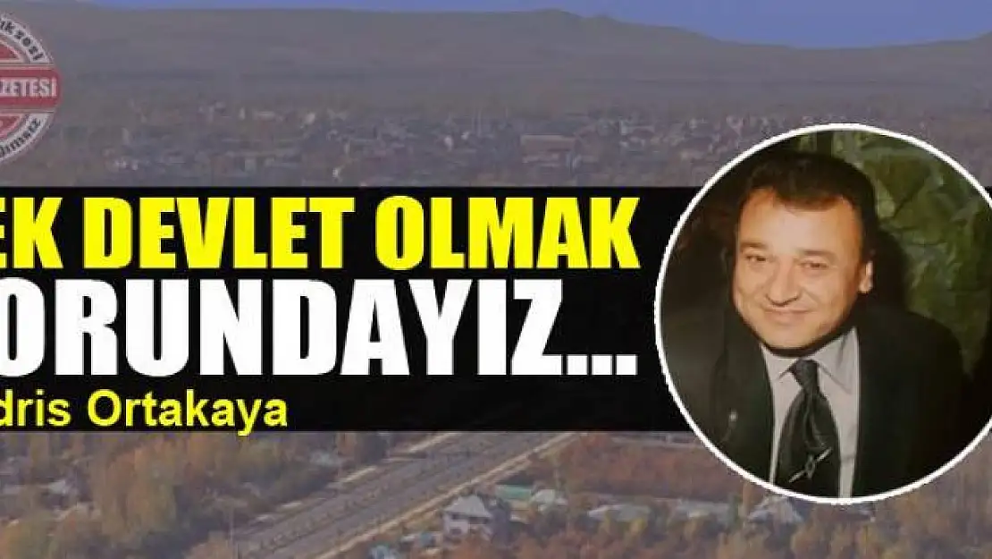 Tek devlet olmak zorundayız…