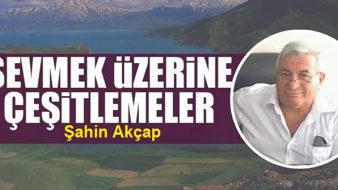 Sevmek üzerine çeşitlemeler