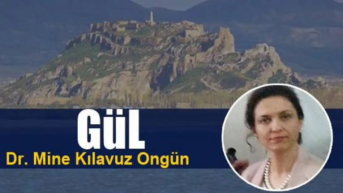 Gül