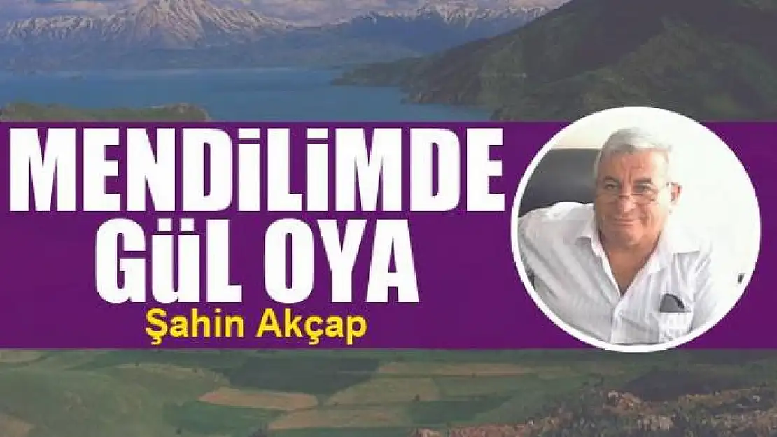 Mendilimde  gül oya  