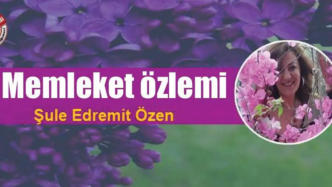 Memleket özlemi