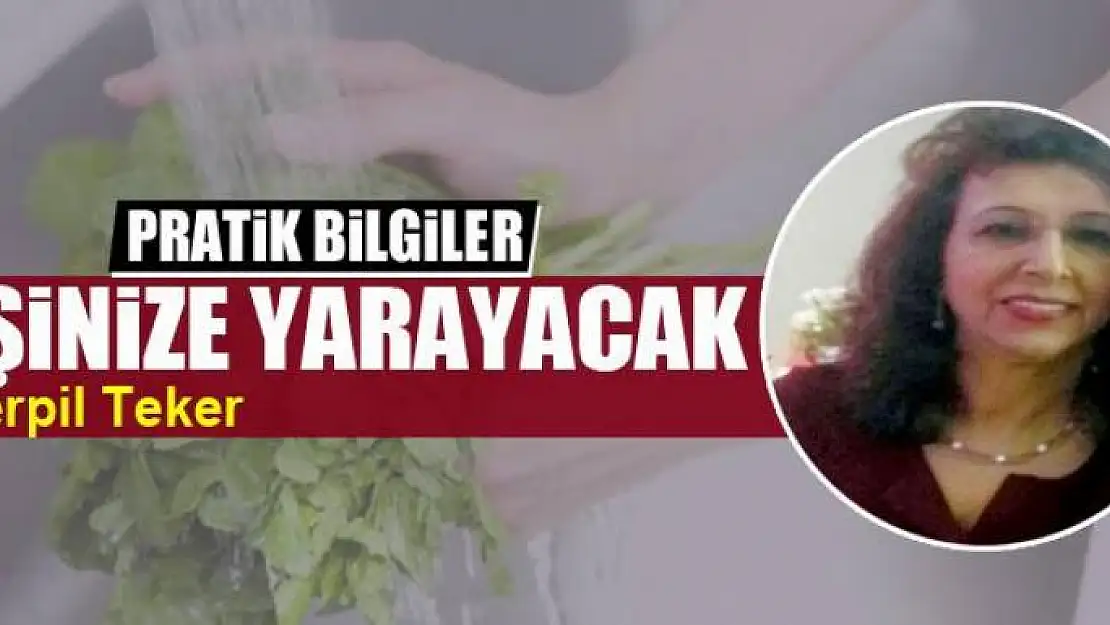 İşinize yarayacak