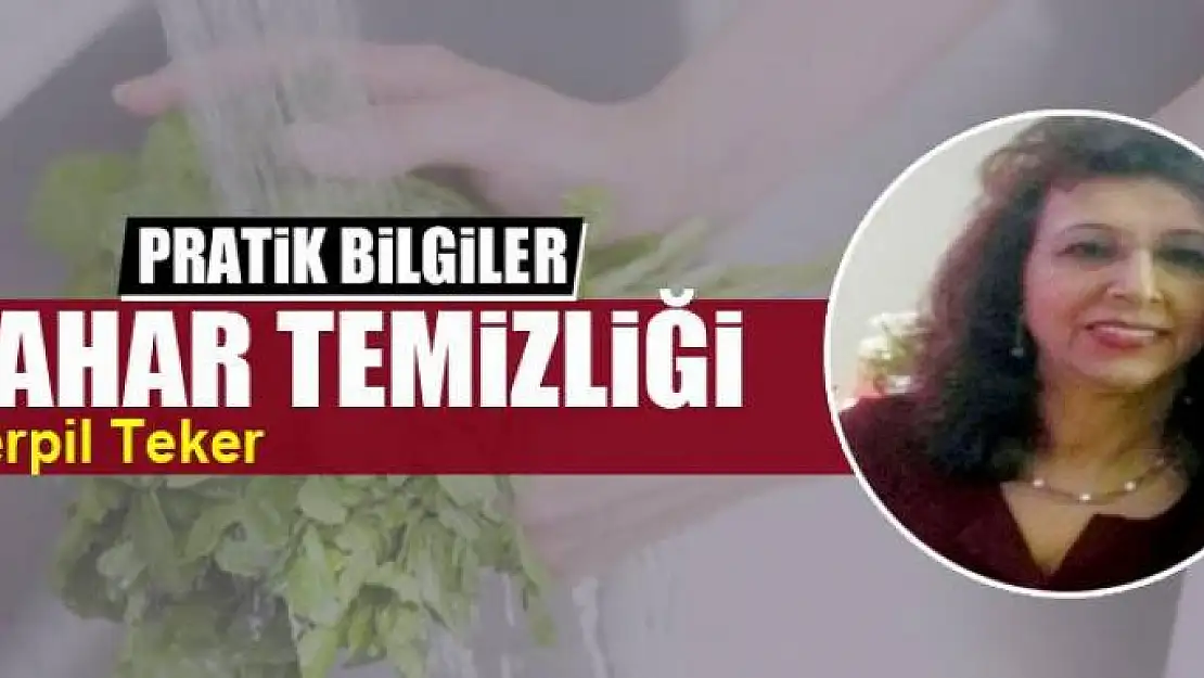 Bahar Temizliği